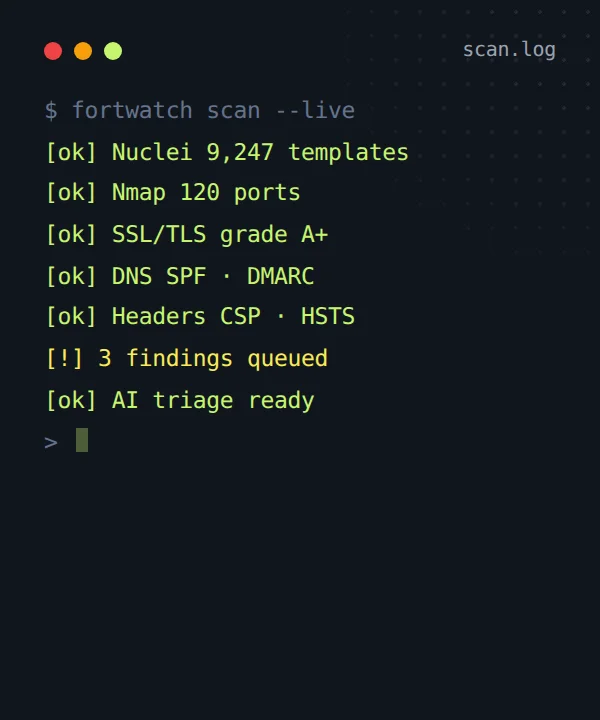 Live scan log showing scanners initializing