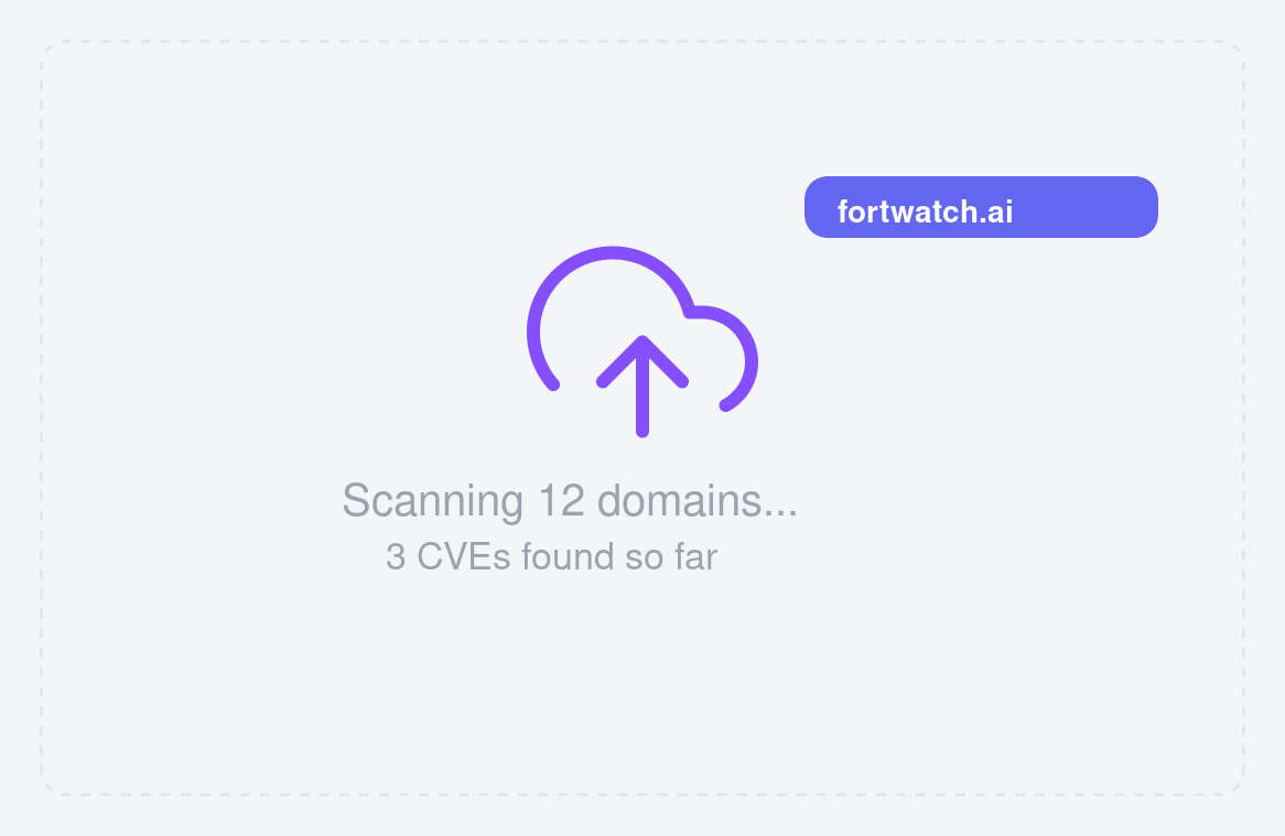 FortWatch web application scanning with domain discovery and CVE detection
