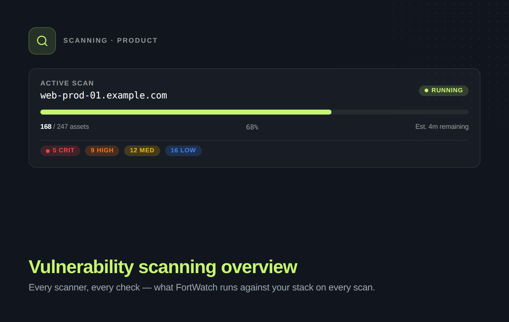 Vulnerability scanning overview